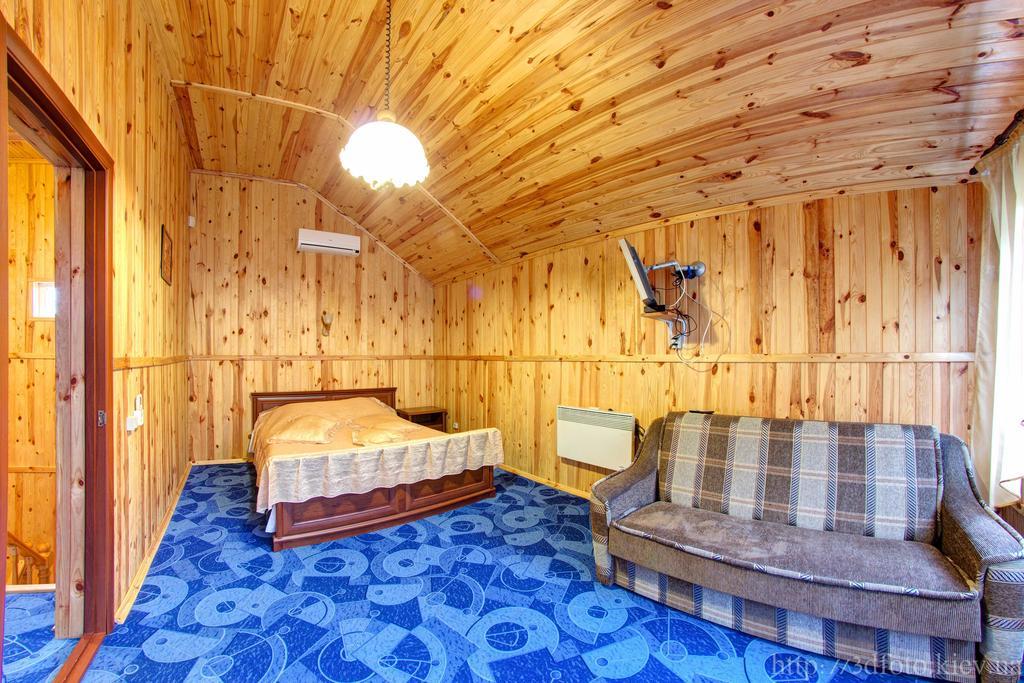 Hotel Aviator Voropayev 객실 사진